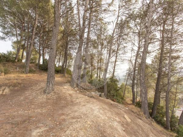 Terreno en Castellgalí