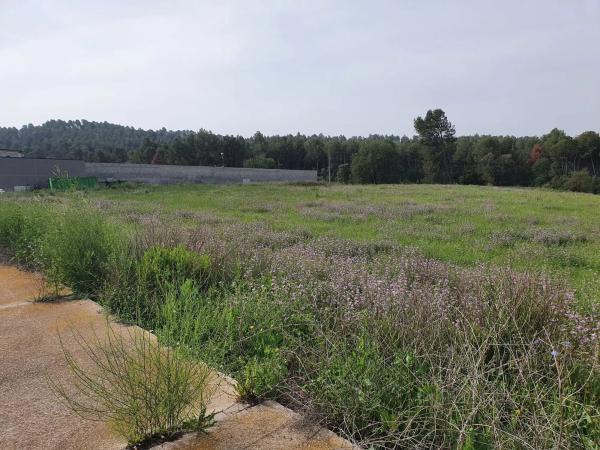 Terreno en calle Manresa, 1