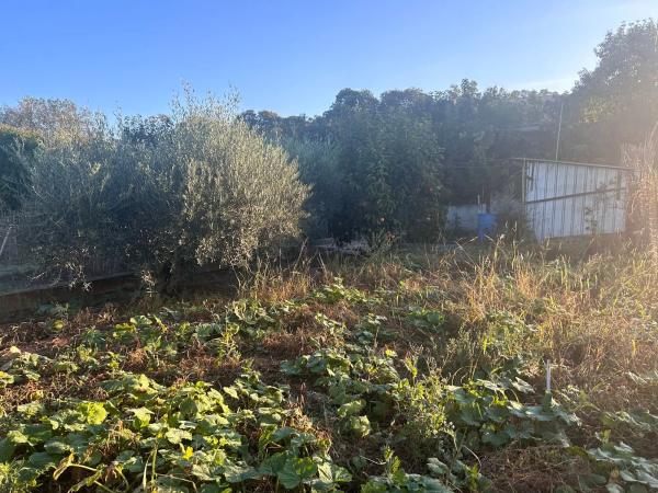 Terreno en calle de Joan Maragall, 1