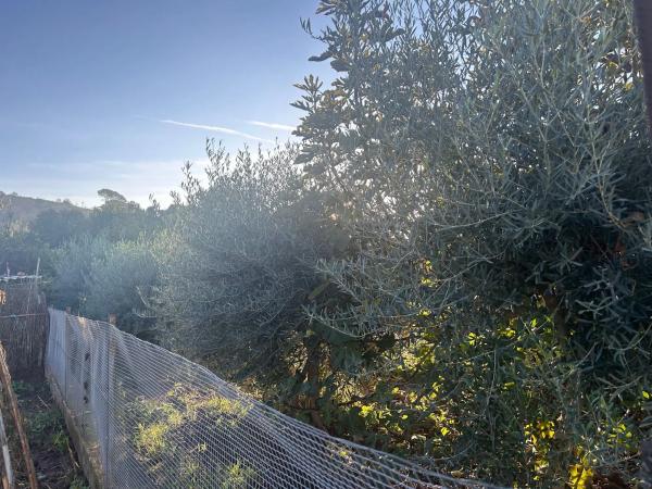 Terreno en calle de Joan Maragall, 1