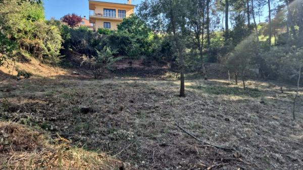 Terreno en calle de l'Obaga, 1  | 52