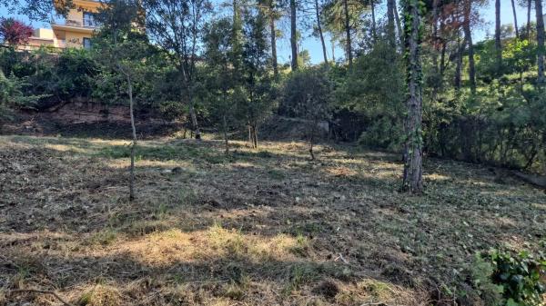 Terreno en calle de l'Obaga, 1  | 52