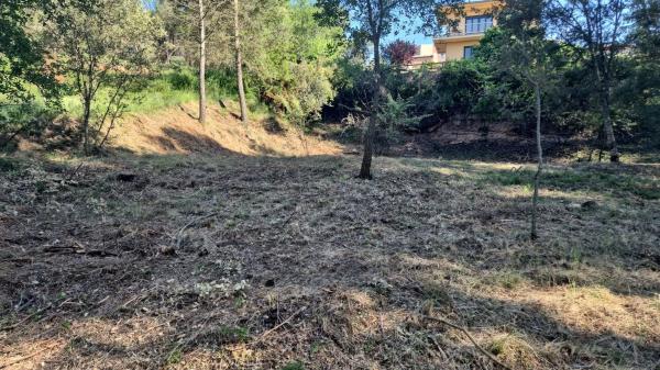 Terreno en calle de l'Obaga, 1  | 52