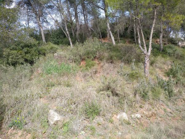 Terreno en calle la Vall, 35