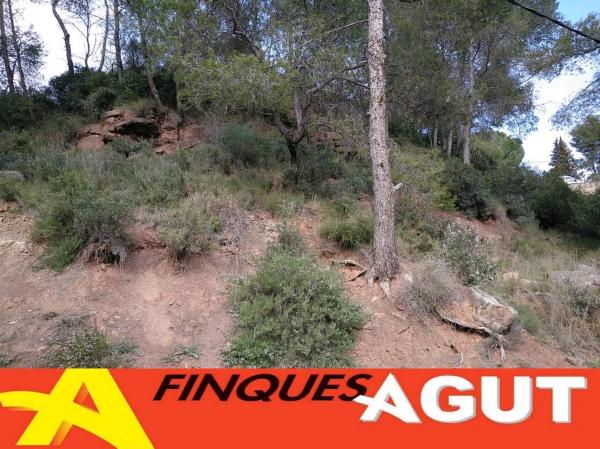 Terreno en calle la Vall, 35