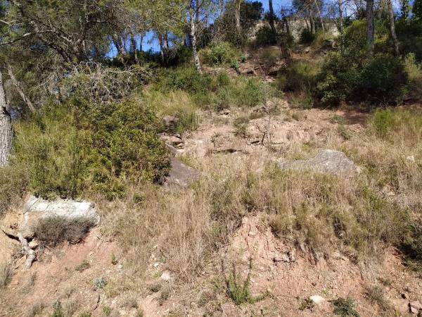 Terreno en calle la Vall, 35