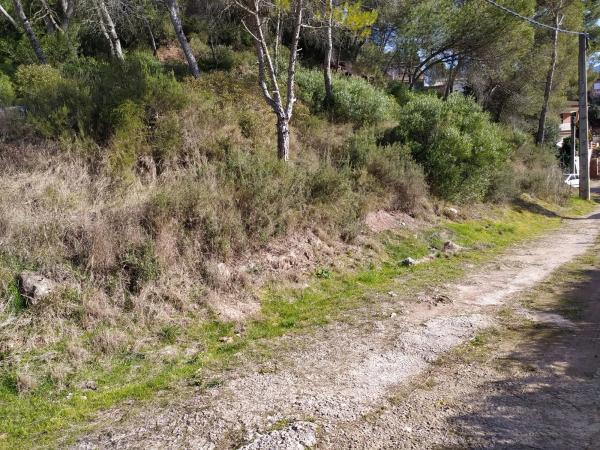 Terreno en calle la Vall, 35
