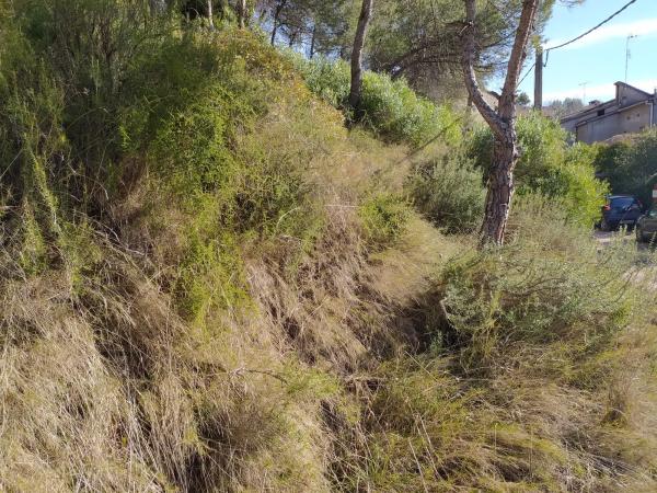 Terreno en calle la Vall, 35