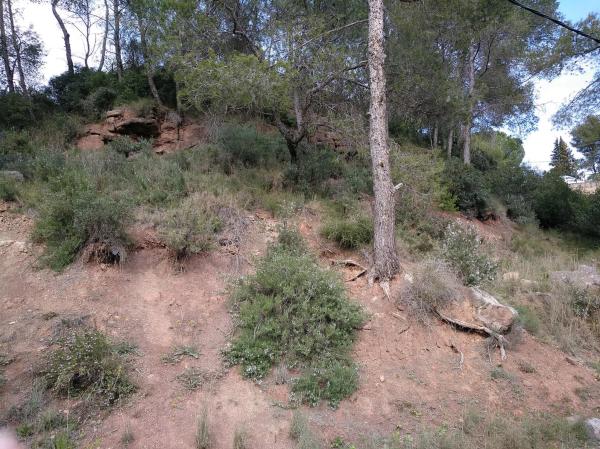 Terreno en calle la Vall, 35