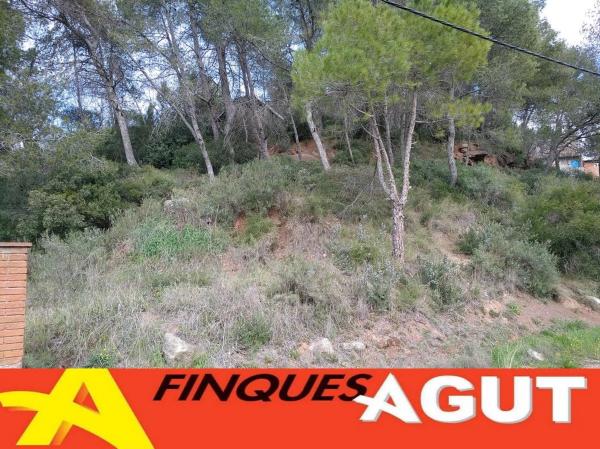 Terreno en calle la Vall, 35