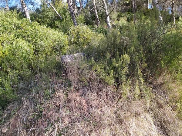 Terreno en calle la Vall, 35