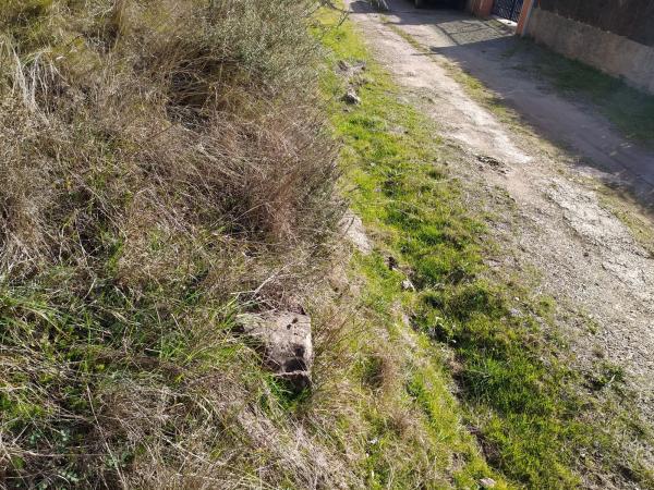 Terreno en calle la Vall, 35