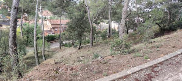 Terreno en camino l,Ermita de Lurdes, 87