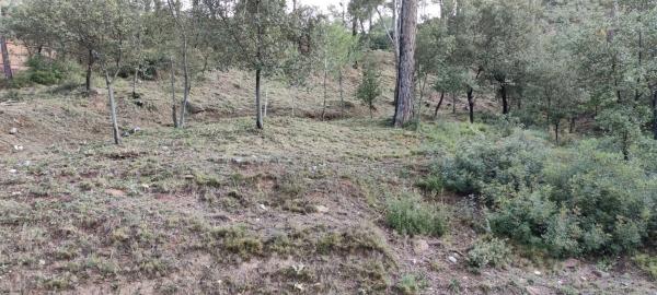 Terreno en camino l,Ermita de Lurdes, 87