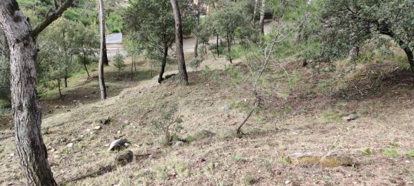 Terreno en camino l,Ermita de Lurdes, 87