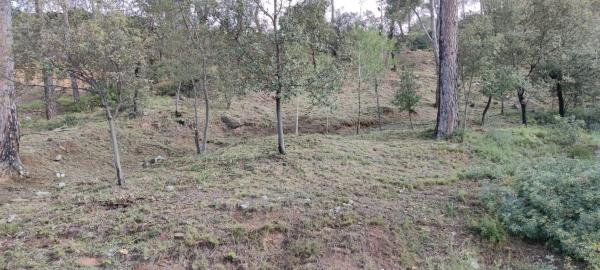 Terreno en camino l,Ermita de Lurdes, 87