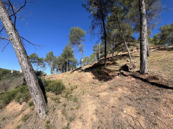Terreno en calle del Boso, 5
