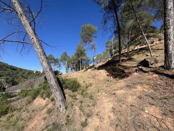Terreno en calle del Boso, 5
