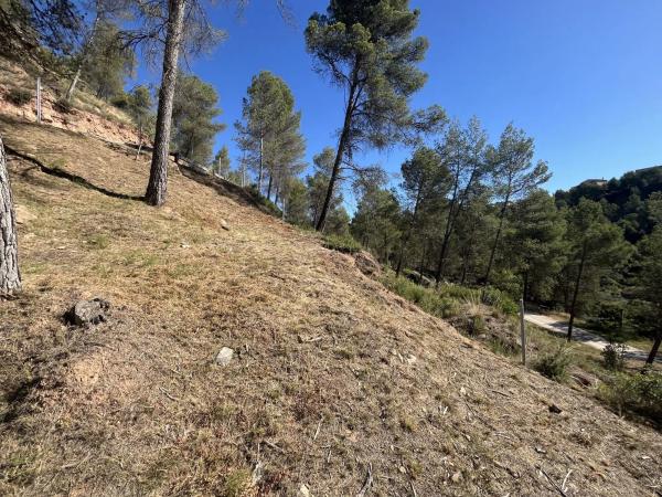 Terreno en calle del Boso, 5