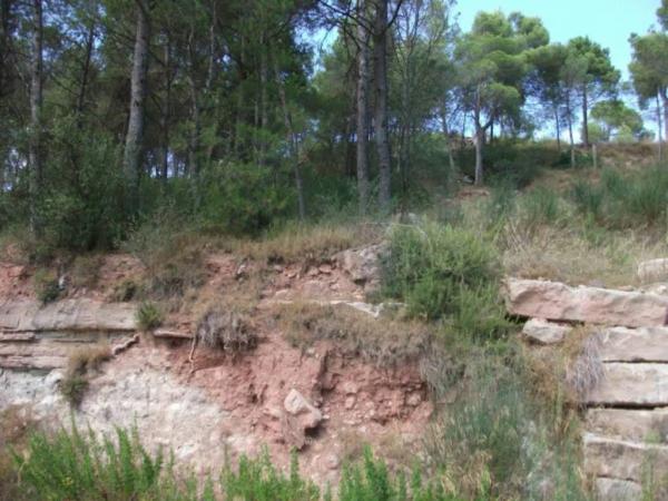 Terreno en Sant Fruitós de Bages