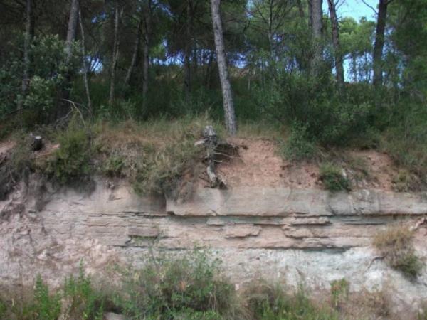 Terreno en Sant Fruitós de Bages