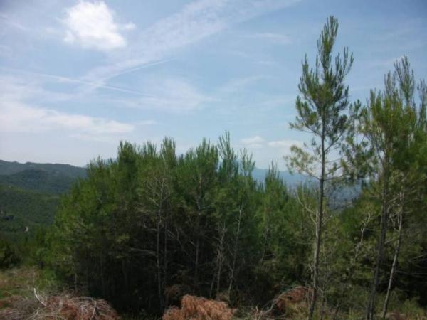 Terreno en El Pont de Vilomara i Rocafort