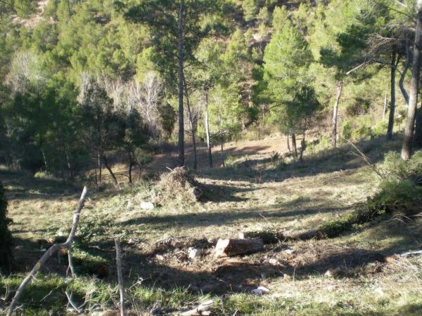 Terreno en Castellnou de Bages