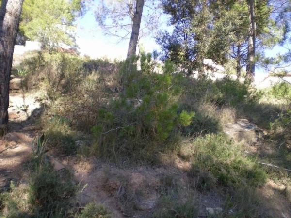 Terreno en Castellnou de Bages
