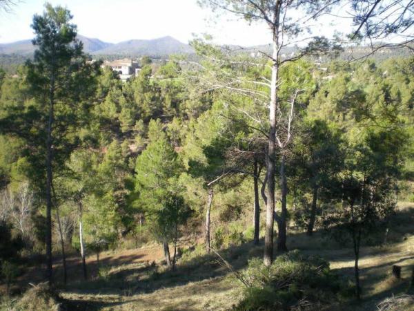 Terreno en Castellnou de Bages