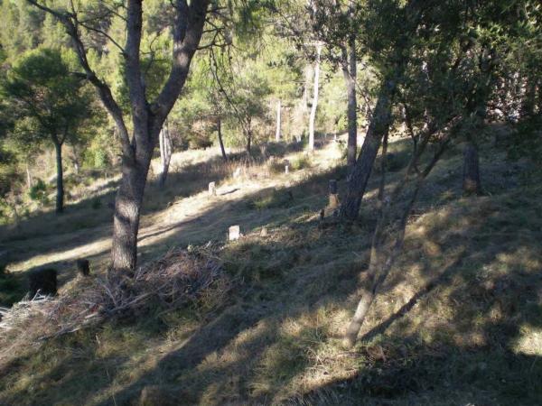 Terreno en Castellnou de Bages