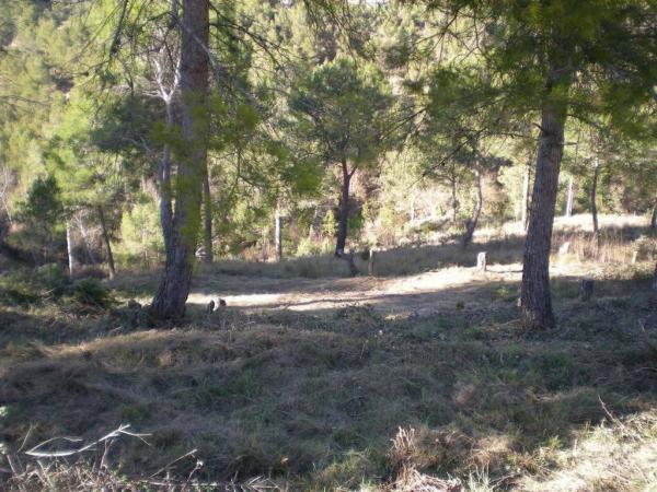 Terreno en Castellnou de Bages