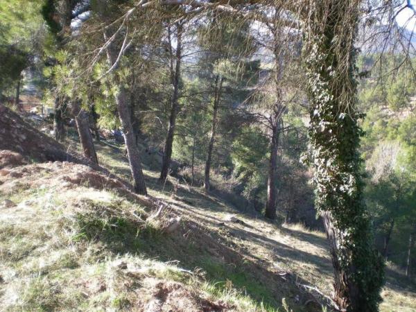 Terreno en Castellnou de Bages
