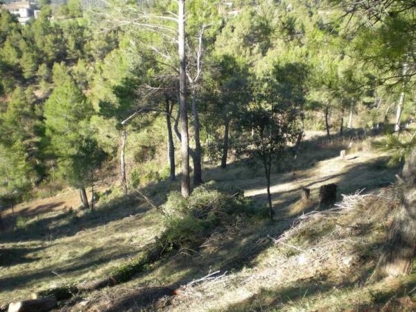 Terreno en Castellnou de Bages