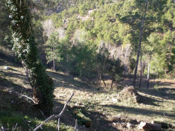Terreno en Castellnou de Bages