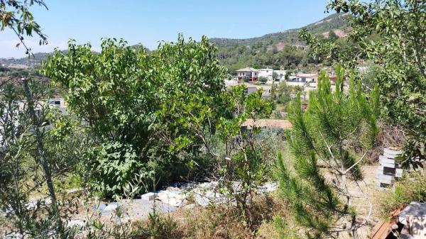 Terreno en calle Faraó, 1