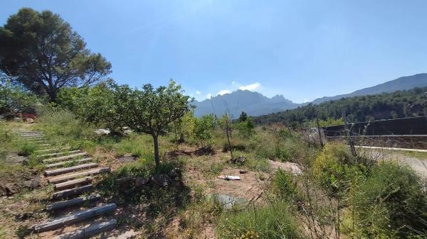 Terreno en calle Faraó, 1