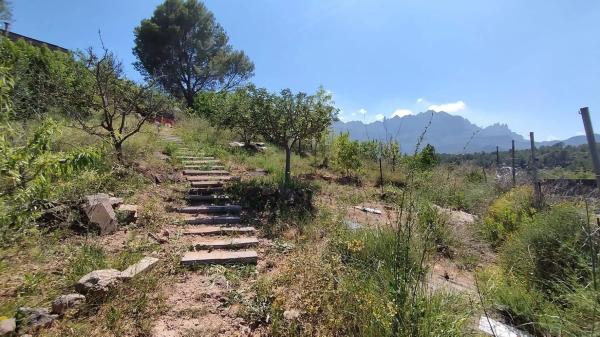 Terreno en calle Faraó, 1