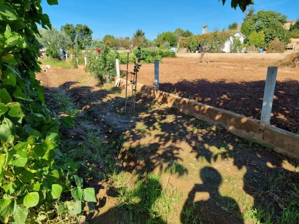 Terreno en camino del Grau