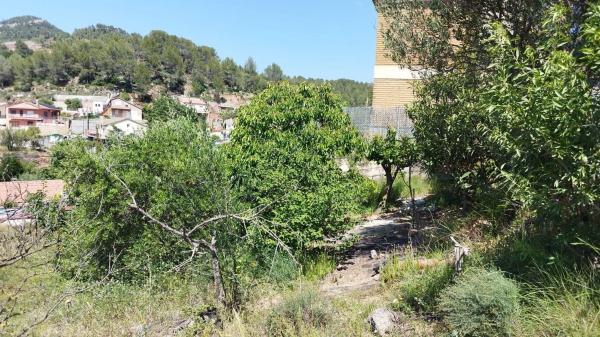 Terreno en calle Faraó, 1