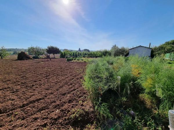 Terreno en camino del Grau