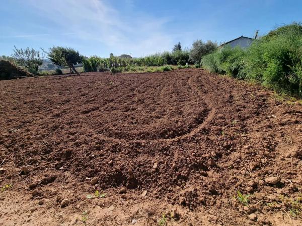 Terreno en camino del Grau