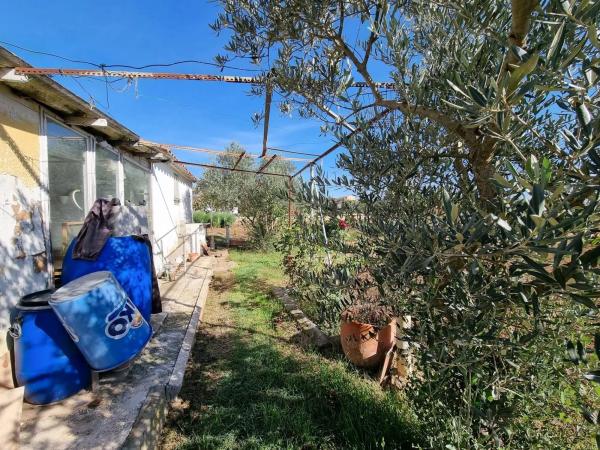 Terreno en camino del Grau