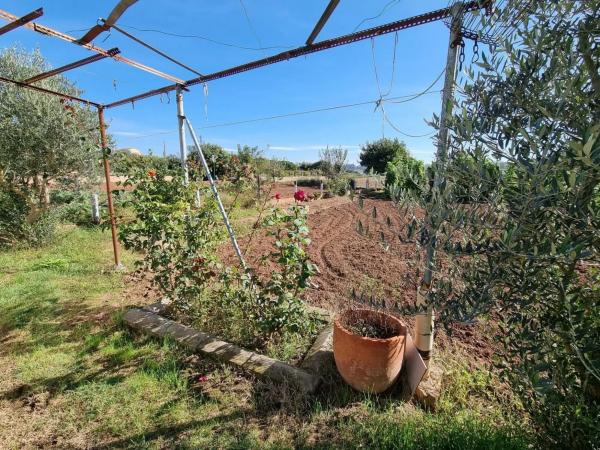 Terreno en camino del Grau