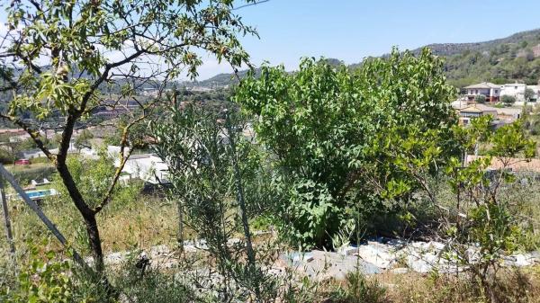 Terreno en calle Faraó, 1