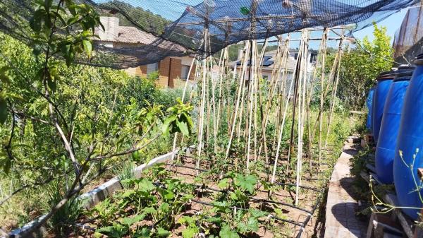 Terreno en calle Faraó, 1