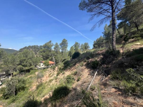 Terreno en avenida de las Torres de Fals, 3