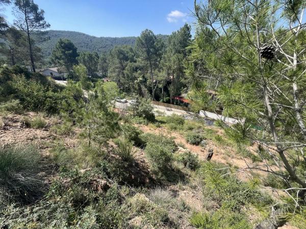 Terreno en avenida de las Torres de Fals, 3