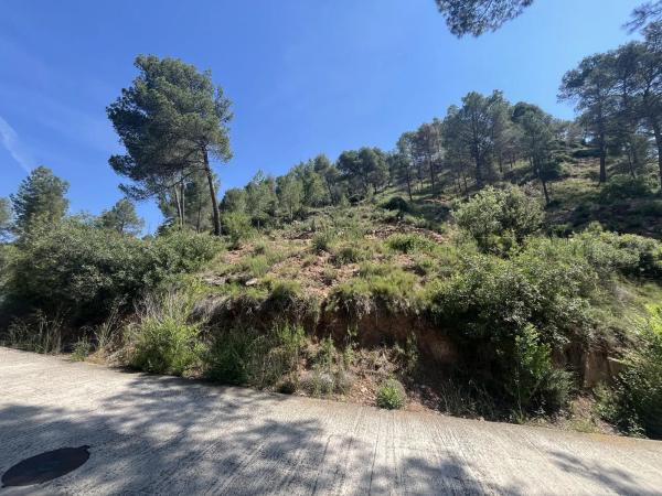 Terreno en avenida de las Torres de Fals, 3