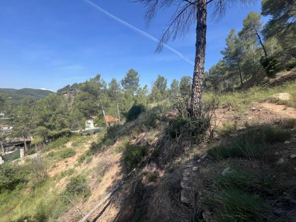Terreno en avenida de las Torres de Fals, 3