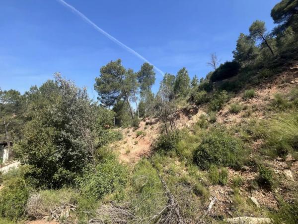 Terreno en avenida de las Torres de Fals, 3